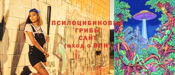 МДПВ Абинск