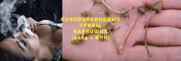 эйфоретик Алзамай