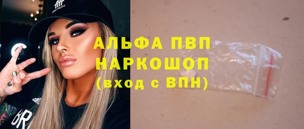 стаф Алексин