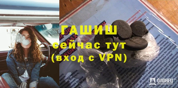 стаф Алексин