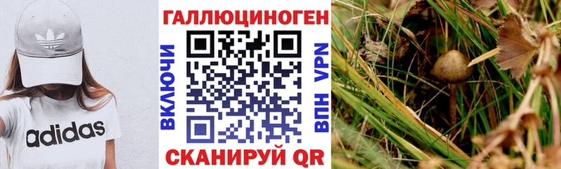 мега зеркало  Кохма  Псилоцибиновые грибы Magic Shrooms  где купить наркотик 