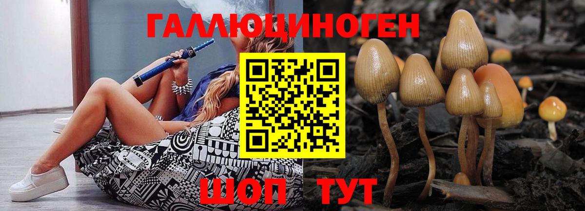 Кохма  Псилоцибиновые грибы Cubensis  Вход с VPN 